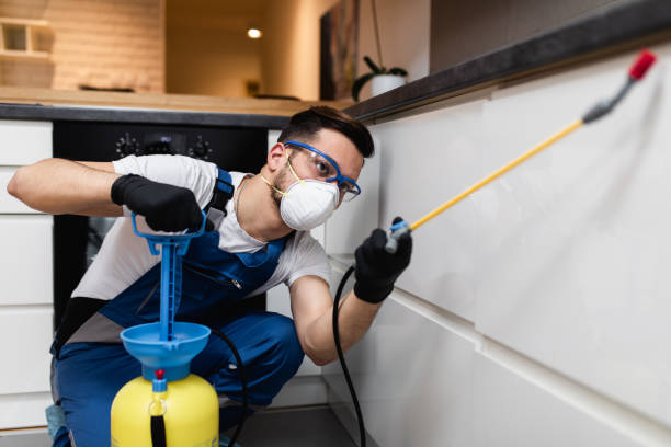 Reliable Lakes West, CT Pest Control Solutions