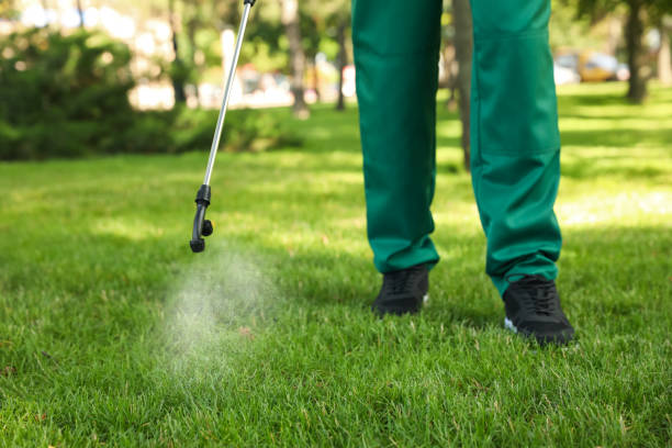 Best Pest Control for Homes  in Lakes West, CT