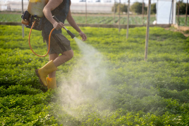 Best Best Pest Control Companies  in Lakes West, CT