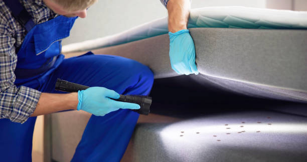 Flea Control Services in Lakes West, CT