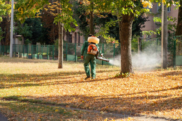 Best Best Pest Control Companies  in Lakes West, CT