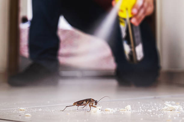 Best Emergency Pest Control  in Lakes West, CT